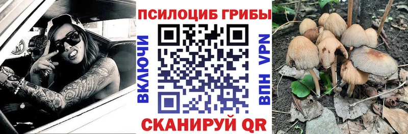 Псилоцибиновые грибы прущие грибы  Купить где  Сарапул 